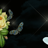 áƒ¦ â€butterfly & rosesâ€áƒ¦