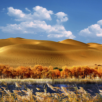 Sand Dunes