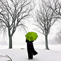 â•°â˜†â•®áƒ¦ â€alone with green umbrellaâ€áƒ¦ â•°â˜†â•®