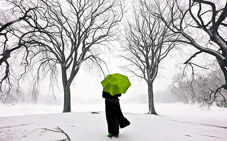 ╰☆╮ღ ❀alone with green umbrella❀ღ ╰☆╮ - alone, umbrella, trees, green