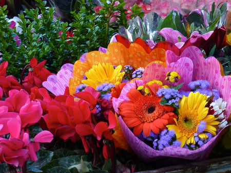 colourful bouquet - flowers, colourful, nature, bouquet