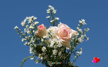 â•°â˜†â•®áƒ¦ â€â„‹â„¯â„“â„“â„´ My Pink Rosesâ€áƒ¦ â•°â˜†â•® - bunch, roses, flower, pink