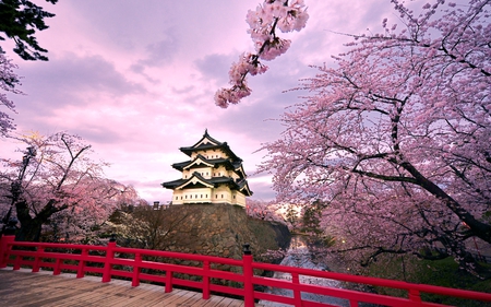 Hirosaki Castle Japan - clouds, trees, hirosaki castle, beautiful, spring, pink, architecture, medieval, hirosaki, japan, nature, castle, sky