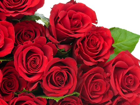 Red roses for Dianna (GREENFROGGY1) - roses, photography, bouquet, flowers, red roses