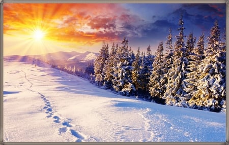 WINTER SUNSET - winter, nature, sunset, snow