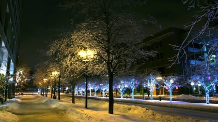 WINTER IN THE CITY - snow, city, winter, nature