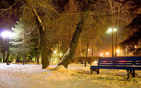 WINTER EVENING - winter, nature, evening, snow