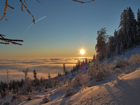 SUNSET IN SNOW - winter, nature, sunset, snow