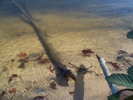 Beach - nature, water, beach, sand