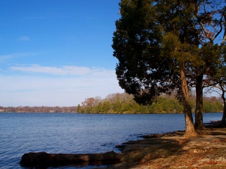 Lake - lake, trees, water, parks