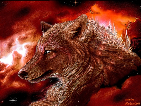 wolf - 2012, galaxies, wolf, astral, god, stars, space, planets, nature, world, animals, univers