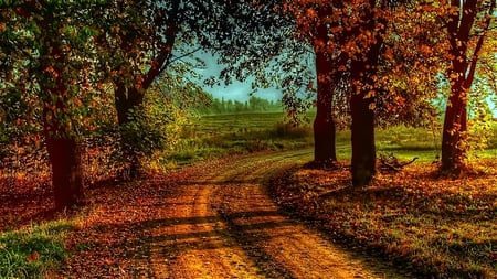 Up Around the Bend - autumn, beautiful, leaves, fallen, lovely, road, country