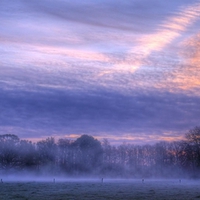 Morning Mist