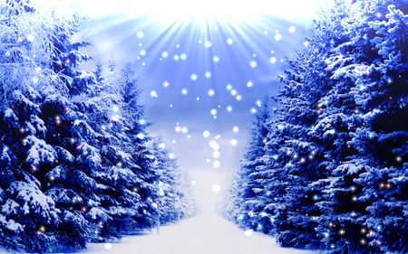 Winter Time - beauty, sky, xmas, trees, magic, peaceful, blue winter, magic christmas, path, road, white, view, pretty, winter time, tree, rays, way, light, winter, lovely, christmas, nature, merry christmas, snow, blue, beautiful, splendor