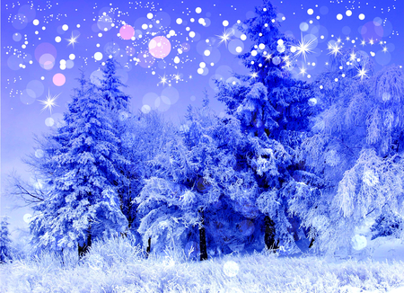 Magic Winter - beauty, bokeh, sky, xmas, trees, magic, peaceful, blue winter, magic christmas, amazing, view, pretty, winter time, clouds, holiday, tree, stars, landscape, winter, lovely, christmas, nature, merry christmas, woods, forest, magic winter, blue, snow, beautiful, splendor