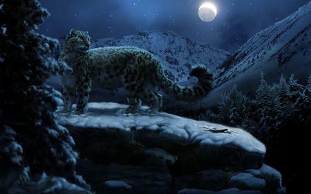 Snow Leopard At Night - abstract, moon, art work, snow, night, forest, mountain, dark, 3d