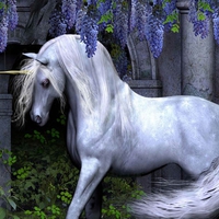 Beautiful Unicorn