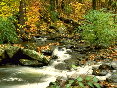 River - stream, trees, nature, other