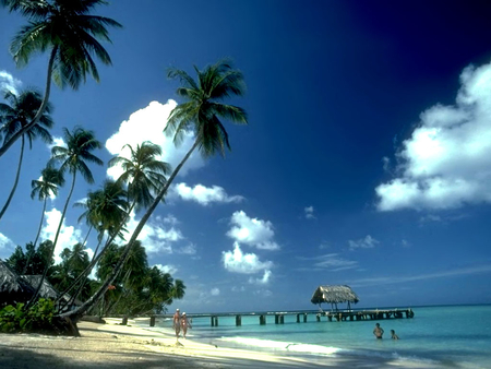 Beach - clouds, palms, nature, beach, other