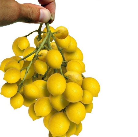 Lemon bunch - hand, yellow, fingers, funny, fruit, bunch, lemon