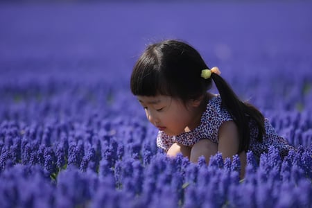 japanese_girl_in_blue - flowers, japan, people, nature, purple, blue, girl, child