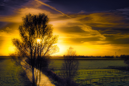 landscape_at_sunset - sunset, nature, yellow, tree, sky