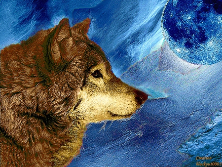 wolf - planets, astral, stars, god, galaxies, space, 2012, world, wolf, nature, abstract, univers, dog