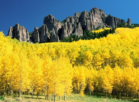 Mountains - trees, mountains, nature, other