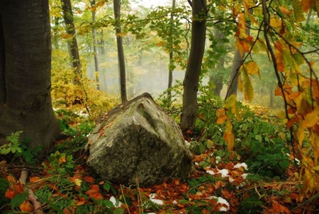 My special place - forest, rock, fall, pretty, beautiful, photo, leaves, photography, trees, nature, mountain, stone, autumn, bulgaria