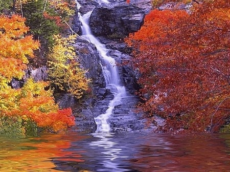 Autumn Falls - river, trees, season, autumn, moutains