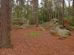 Fontainebleau Forest Barbizon Rocks