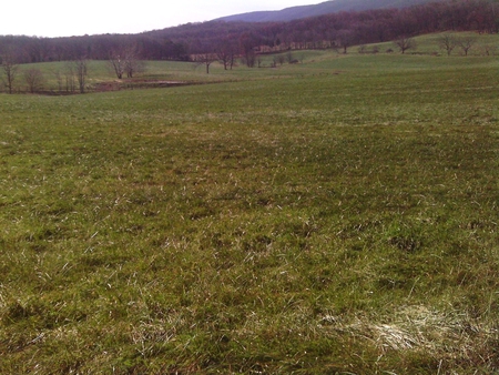 Hayfield in Hayfield, Va. - sky, trees, green, mountains, grass