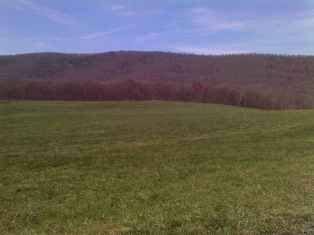 Allegheny Mountains - trees, grass, field, mountains, sky