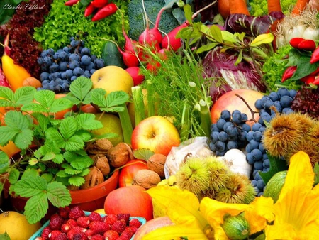 Perfectly Arranged - veg, apples, radishes, fruit