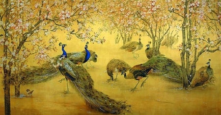 Peacocks. - peacock, blossom, tree, bird