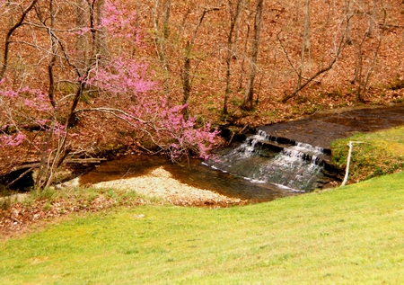 Small Falls - forest autumn, trees, water, falls