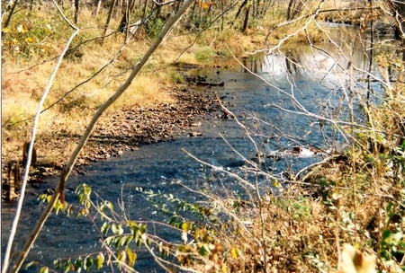 Blue Water - fall, forest, water, autumn