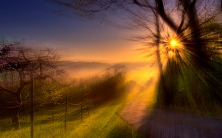 Sunlight - magic, amazing, splendor, landscape, grass, sunrise, light, sunrays, path, view, sky, way, sun, clouds, sunlight, trees, beautiful, road, beauty, colors, lovely, fence, tree, nature, sunset, rays, green, peaceful