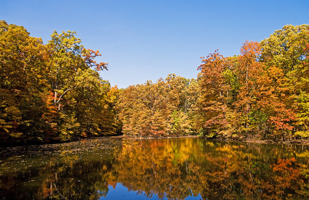 Beauty of autumn - water, nature, autumn, beauty, lake, colors, reflection