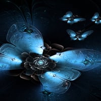 â•°â˜†â•®áƒ¦ â€butterflies flying at nightâ€áƒ¦ â•°â˜†â•®