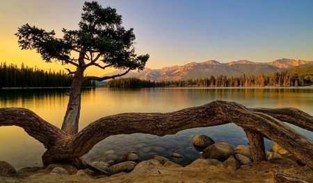 Mountains - nature, lake, tree, mountains, other