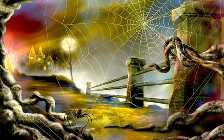 Spider - spider, animal, sun, other