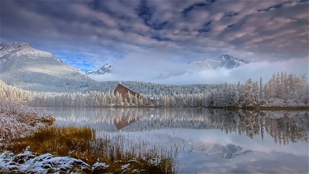 Morning Frost - calm, winter, beautiful, stillness, lake