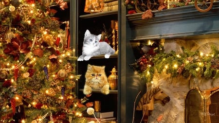 Christmas Lights and Cats - house, gold, firefox persona, home, tree, christmas, decorated, kittens, lights, bright, cats, decorations, kitty