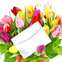 Colorful tulips and love letter