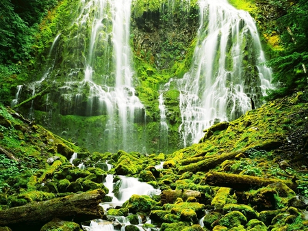 Cascadas - green, waterfalls, scenic, forest