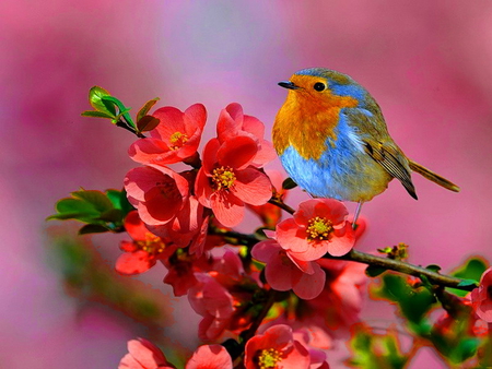 Little bird on a spring branch