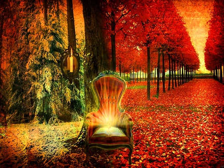 Magic chair - fall, row, trees, magic, autumn, book, light, chair