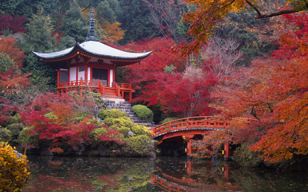 Beautiful Autumn - red, chinese, japan, oriente, beautiful, autumn