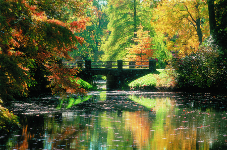 river - river, nature, scenery, autumn, landscape, reflection, bridge